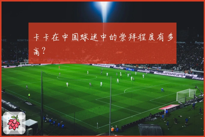 卡卡在中国球迷中的崇拜程度有多高？