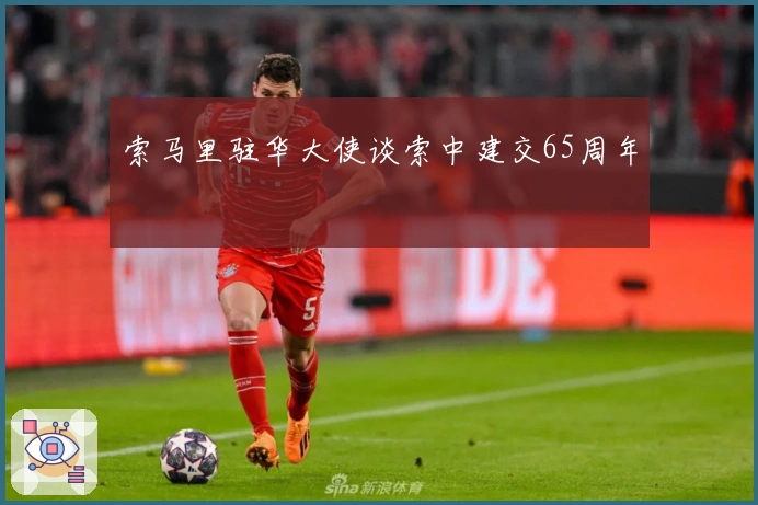 索马里驻华大使谈索中建交65周年