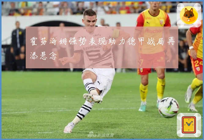 霍芬海姆强势表现助力德甲战局再添悬念
