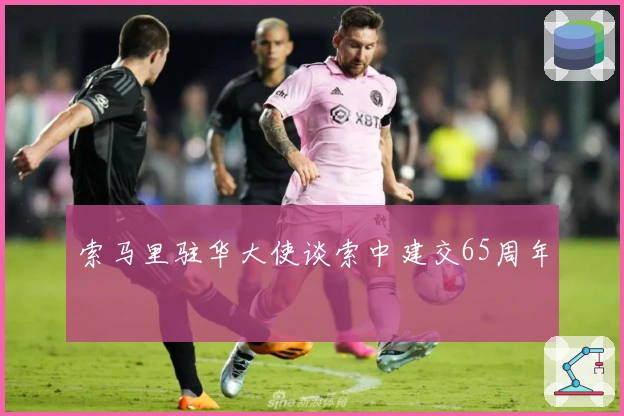 索马里驻华大使谈索中建交65周年