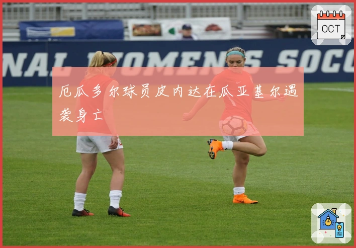 厄瓜多尔球员皮内达在瓜亚基尔遇袭身亡