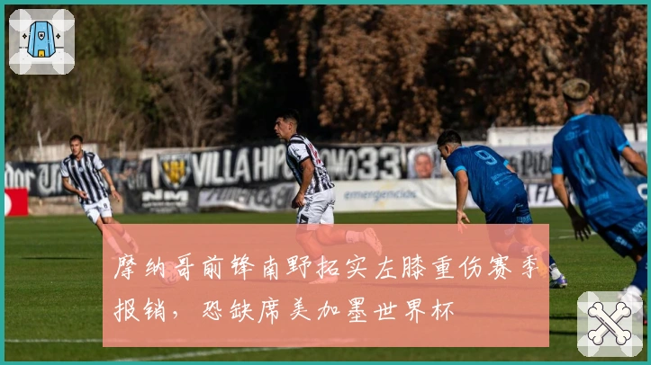 摩纳哥前锋南野拓实左膝重伤赛季报销，恐缺席美加墨世界杯