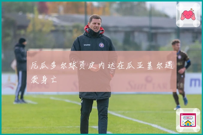 厄瓜多尔球员皮内达在瓜亚基尔遇袭身亡